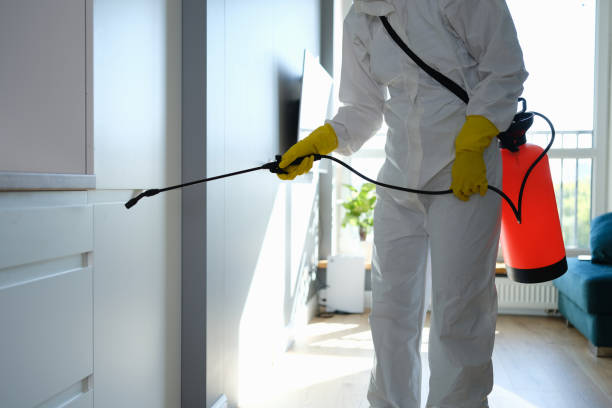 Best Crawl Space Mold Removal  in Eastwood, LA