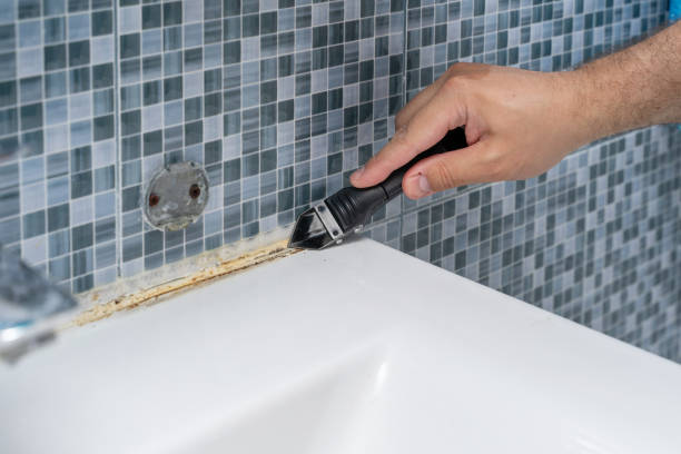 Home Mold Removal in Eastwood, LA