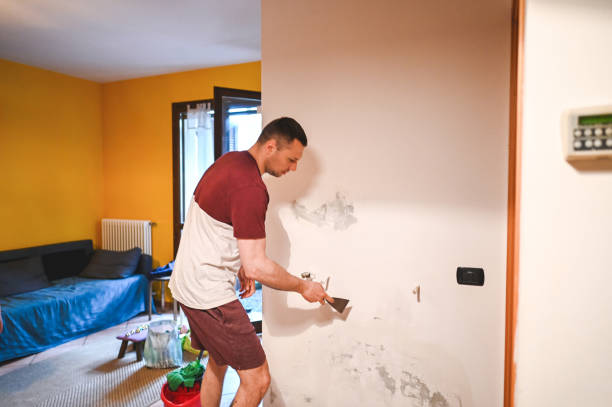 Home Mold Removal in Eastwood, LA
